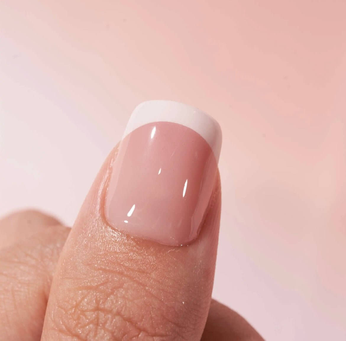 Frenchie Square - Leewa Beauty